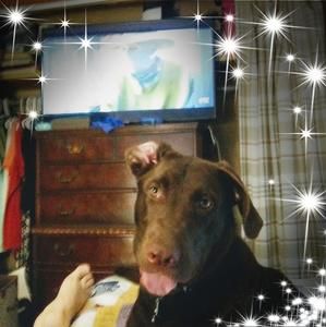 Meet your Posher, Deborah